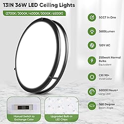2-Pack 36W LED Ceiling Lights Black, 13inch Flush