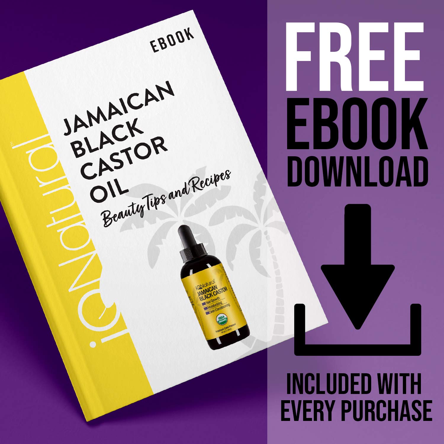 Jamaican Black Castor Oil USDA Certified Organic for Hair Growth and Skin Conditioning [SCENT REGULAR]- 100% Cold-Pressed 4oz Bottle : Beauty