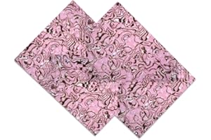 EXASININE 2Pcs Abalone Shell Sticker (300mm X 200mm) Abalone Sheets Veneer Imitation Abalone Hand Stickers for Craft Handmade Decoration with Backside Tape(D)