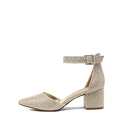 DREAM PAIRS ANNEE Pointed Toe Low Chunky Heels Pump