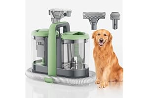 Machine de nettoyage de tapis, 18 kPa, nettoyeur portable pour tapis et tissus d'ameublement, 500 W puissante aspiration prof