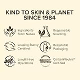 Burt's Bees Ultra Conditioning Lip Balm Kokum Butter 12 Pack 100% Natural view 7