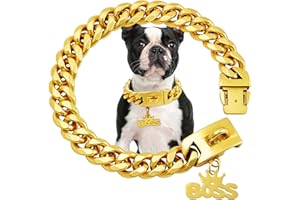 19MM Gold Dog Chain Collar,Chew Proof Stainless Steel Cuan Link Chains Necklace Collars with Solid Buckle,Training Collar Cha