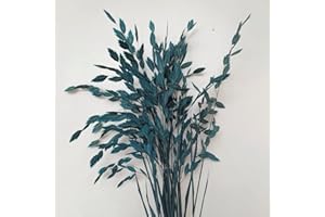 MOORCHOCO Dried Grass Bundle, 20 Stems 15-17 Inch Natural Chasmanthium Flower Bouquet for Vase, DIY Floral Arrangements, Weddings Party Home Baby Shower Elegant Decor (Blue)
