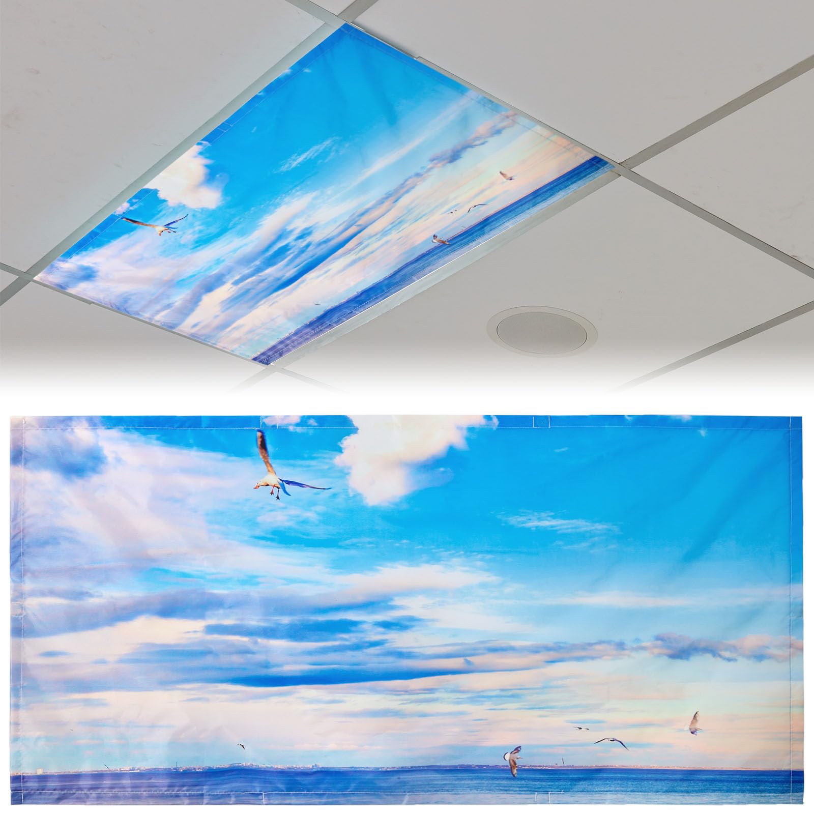 Patelai 4 x 2 Feet Fluorescent Light Cover for