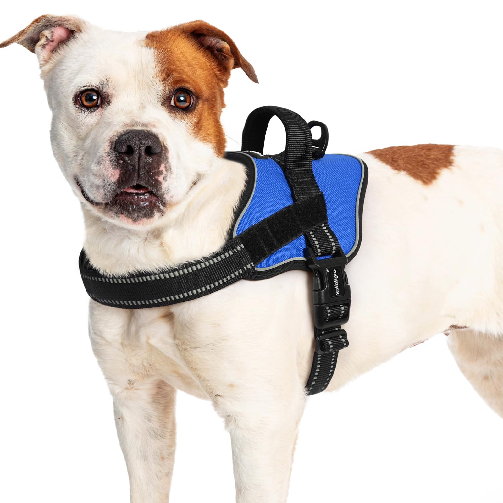 rabbitgoo Dog Harness Large Dog, Adjustable No Pull Harness, Easy Wearing with One Buckle, Breathable Reflective Pet Vest with Control Handle for Outdoor Walking Training, Blue, L