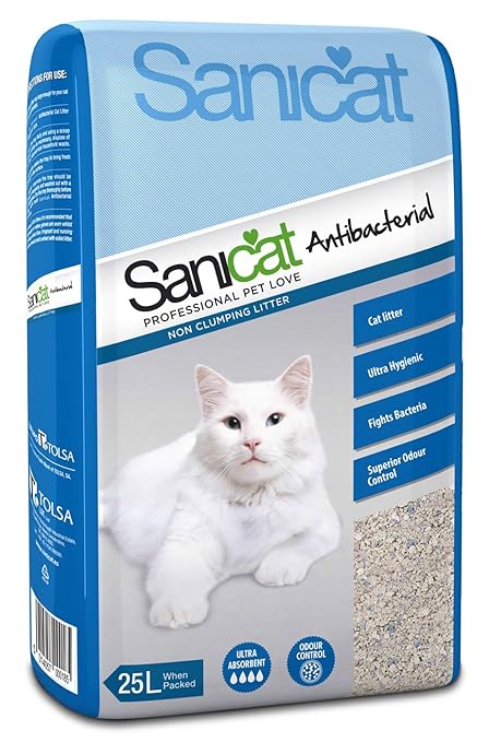 female ginger cat for sale