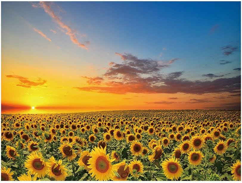 Anliyou Tapiz Para Colgar En La Pared Diseno Bohemio Hippie