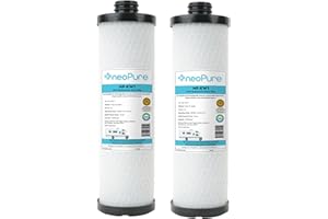 Neo-Pure NP-KW1 WaterPur KW1 Compatible 10" Carbon Block Filter for RCS/FR1 Housing | Chlorine, Sediment, VOC Reduction | RV, Boat, Camper Water Filtration - 2 PK