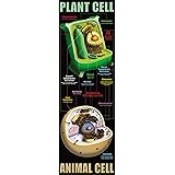 Mcdonald Publishing Plant And Animal Cells