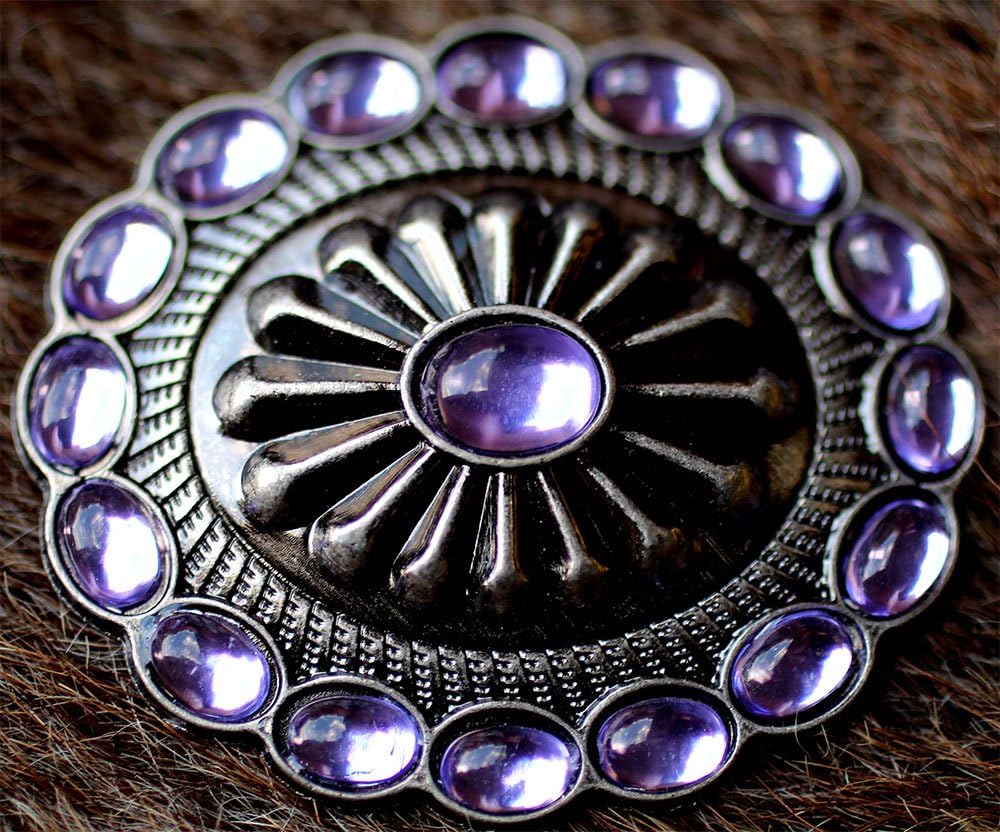 Challenger Tack 4 Conchos Rhinestone Horse Saddle Western Purple CO05