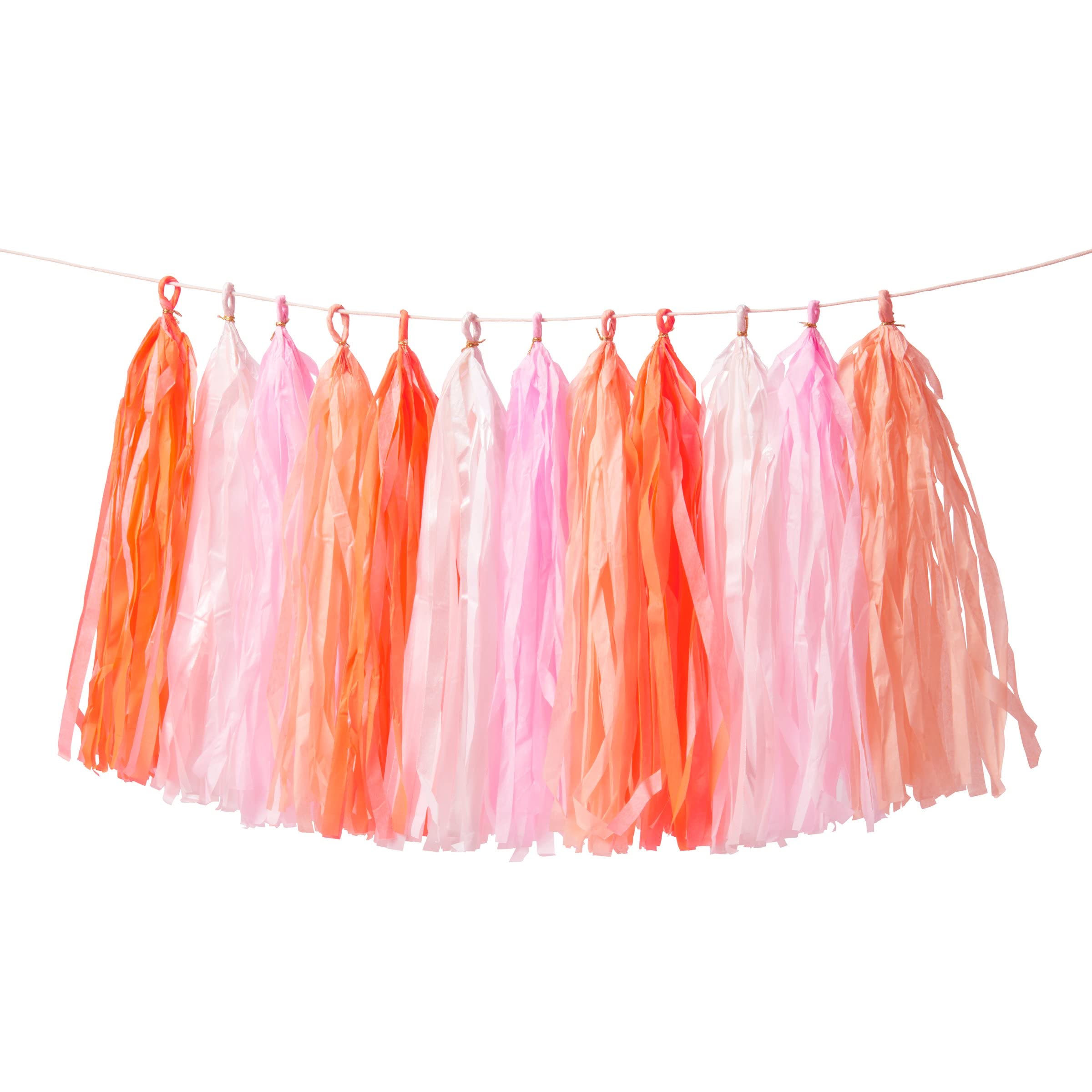 Meri Meri Pink Tassel Garland (Pack of 1)
