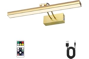 LEEQVHOOLL Picture Light,16in Battery Wall Light,3CCT Display Light,Metal Art Lights for Paintings,Remote Timer and Dimmable Accent Light for Gallery,Artwork,Portrait,Frame(Gold)