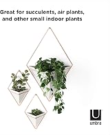 Umbra Trigg Small Set of 2 Concrete Wall Planters - Modern Decor view 9