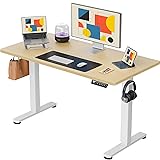 ErGear Electric Standing Desk, 44 x 24 Inches