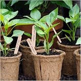 LR Supplies 50 Wooden Plant Labels with Pencil Marker Sticks 92mm x 9mm view 3