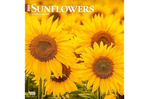 Sunflowers | 2024 12 x 24 Inch Monthly Square Wall Calendar | BrownTrout | Flower Floral Plant Outdoor Nature