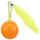 Outward Hound Tail Spinner Squeaky Dog Chase Toy