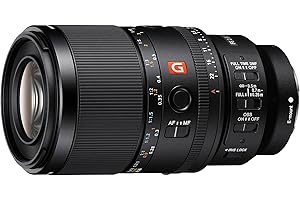 Sony FE 100mm F2.8 GM OSS