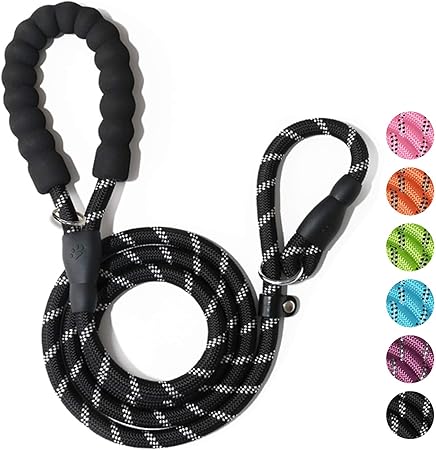amazon dog slip leads