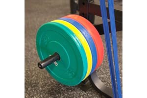 Body Solid (SPRWPH) Pro ClubLine Weight Plate Horn SPR500 Half Rack & SPR1000 Power Rack Only, Olympic Weight Plate Holder for Home Gym Storage and Organization