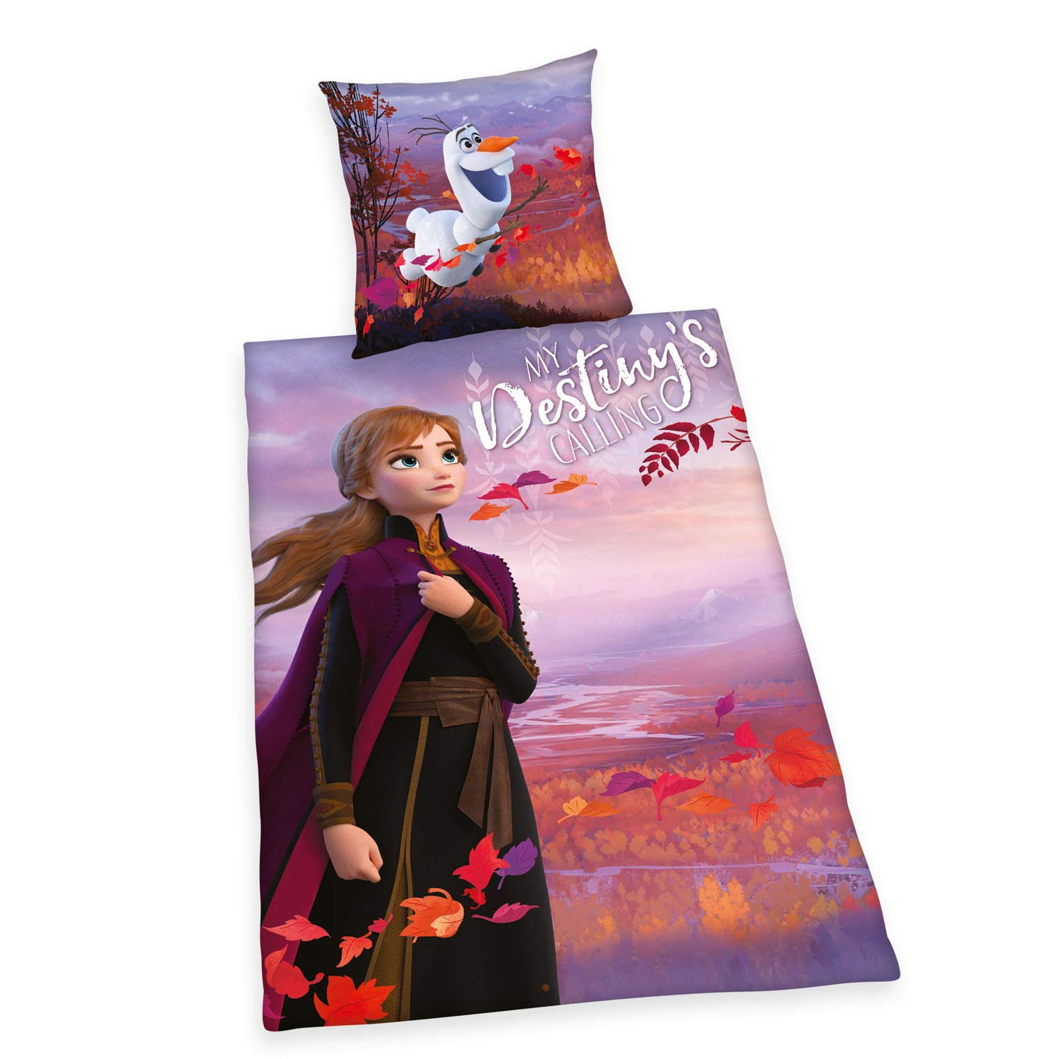 Herding Bed Linen-Set, Disney's Frozen 2, Pillow Case 80 x 80cm, Duvet Cover 135 x 200cm, 100% Cotton, Renforcé, with Smooth-Running, Multicoloured, 80x80cm, 135x200cm