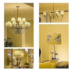 Rayhoo E12 Dimmable LED Candelabra Light Bulbs 4W