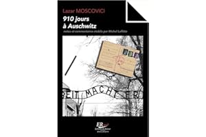 910 jours à Auschwitz (French Edition)