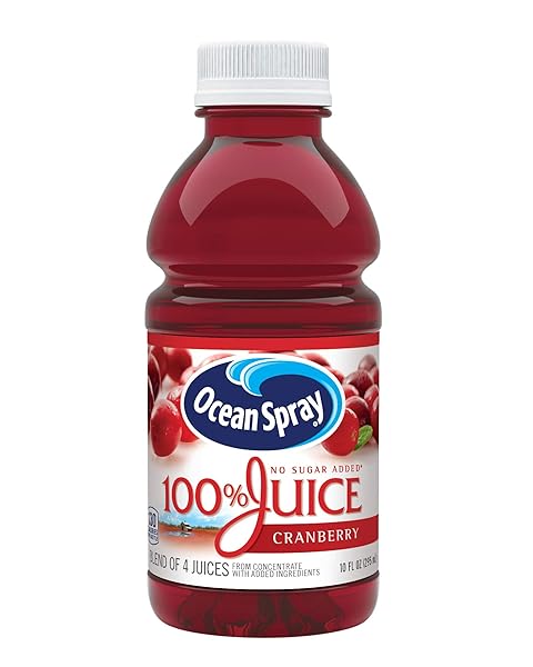 OCEAN SPRAY 100% JUICE, CRANBERRY, 10 FL OZ (PACK OF 6)