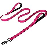 Joytale Dog Leash for Large Dogs that Pull, Double Handle, 6FT, Hot Pink | Traffic Handle for Control, Padded Handle Reduces Hand Strain, Reflective Stitching for Night Safety, Strong Nylon Webbing