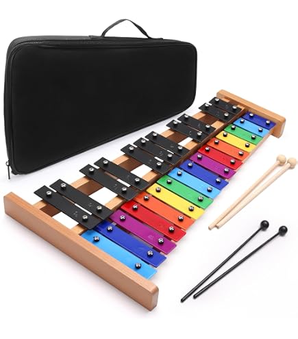 Amazon.com: Sonor 28511001 - NG 10 Soprano Glockenspiel : Musical
