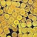 eBoot 288 Pieces 72 Designs Gold Nail Vinyls Nail Stencil Sticker Sheets Set for Circular Hollow Nail Art Design, 24 Sheets