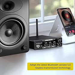 PROZOR 192kHz/24bit Digital Stereo Audio