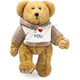 Bear of Allan Teddy Bear Stuffed Animal - Jointed Bear, I Love You Gift for Her, Embroidered Hoodie, Moveable Arms and Legs, 