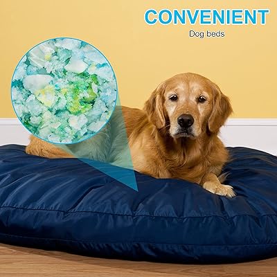 Buy Lcfomq Bean Bag Filler Shredded Memory Foam Refill Replacement Premium Inserts For Stuffing Pillows Bean Bag Chair Sofa Pet Dog Bed Healthy And Comfortable 5 Pounds Online In Indonesia B08zng7d78