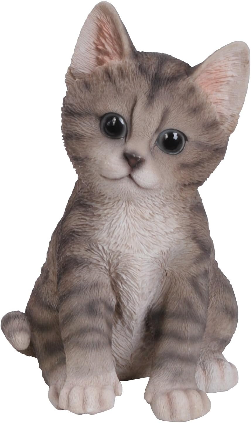 Pet Pals Kitten Tabby by Vivid Arts BigaMart