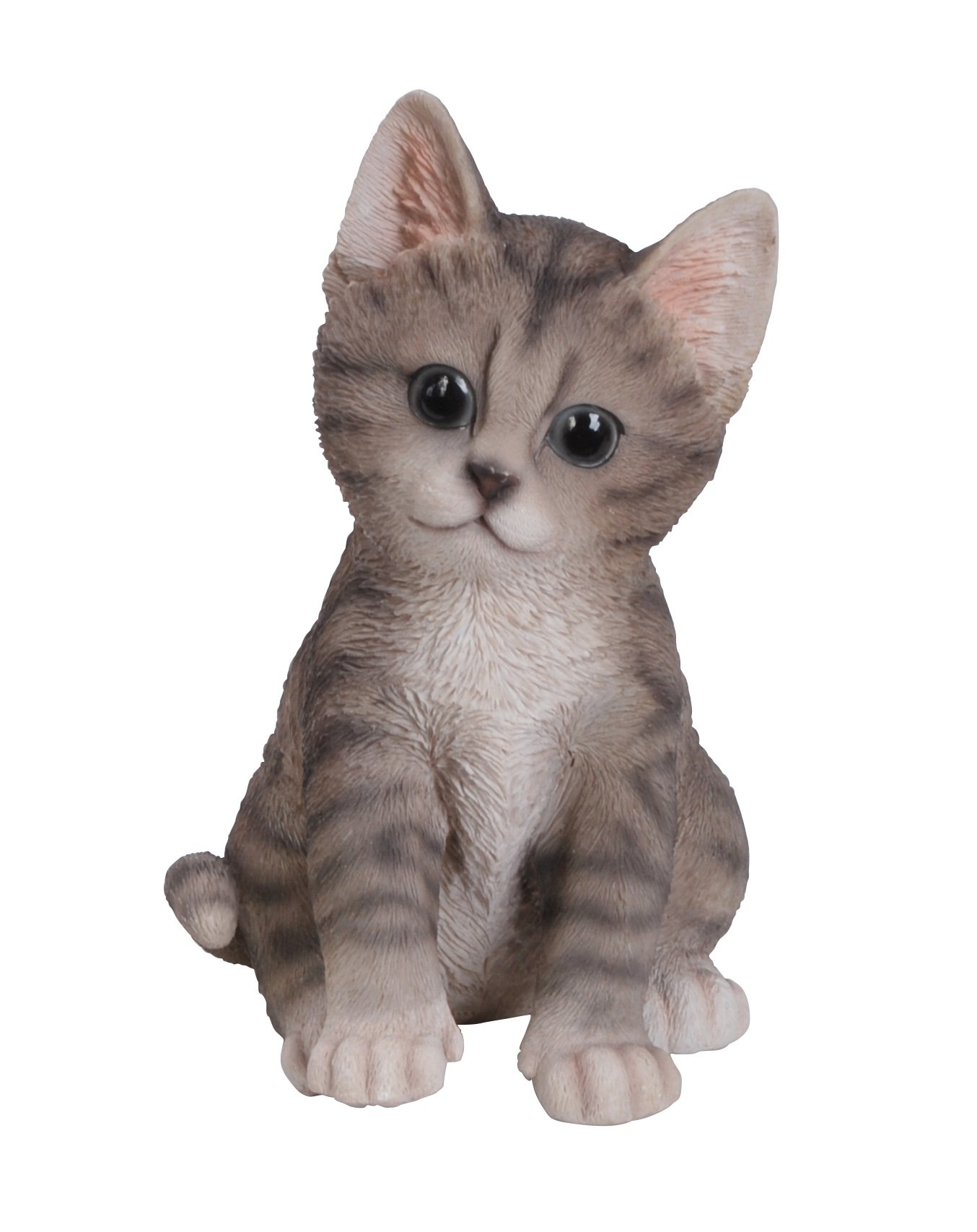 Pet Pals Kitten Tabby by Vivid Arts