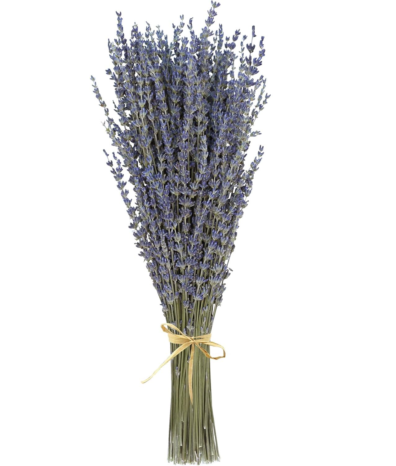 Dried Flowers,Dried Lavender & Baby's Breath Flowers Bundles, Dried Flower Bouquet for Vase, Natural Gypsophila, Valentines Day Decor Gifts, Home, Wedding, Photography, Floral Arrangement, DIY Wreath1