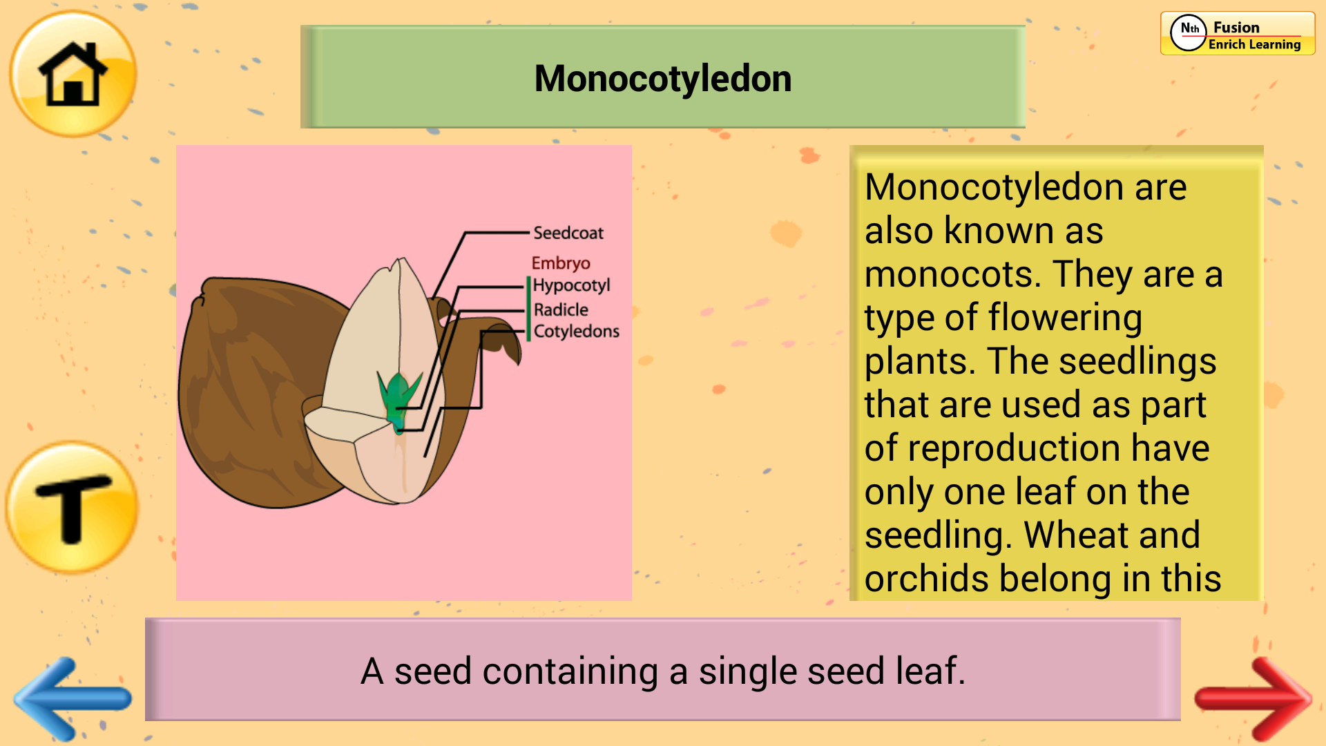 Amazon.com: 6th Grade Science Glossary # 2 : Learn and Practice