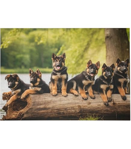 Amazon.com: German Shepherd Puppies 504 Piece Jigsaw Puzzle 16
