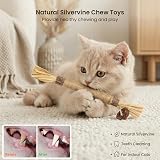 flowerstarry 6 Packs Natural Matatabi Silvervine Cat Chew Sticks 21cm view 2