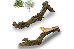 Apatal Reptile Branch Decor 2 Pcs Snake Climbing Wood Branches Lizard Habitat Decorations Terrarium Natural Forest Tree Trunk Ornament for Bearded Dragon Geckos Chameleon Frog