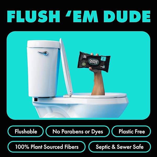 DUDE WIPES – FLUSHABLE WIPES – 6 PACK, 288 COUNT – MINT CHILL – VITAMIN-E, ALOE, EUCALYPTUS & TEA TREE OILS – SEPTIC AND SEWER SAFE