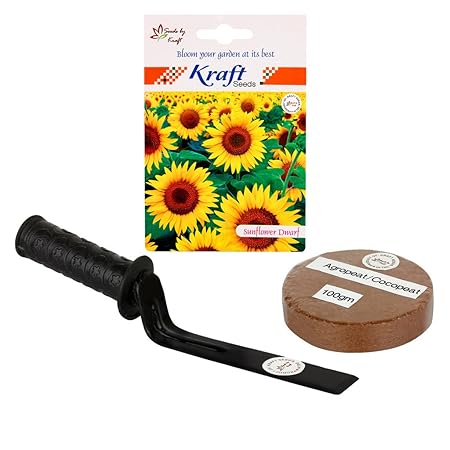 Kraft Seeds Sunflower Dwarf and Cocopeat and Khurpi 3 in 1 Garden Handy Combo (Pack of 3)