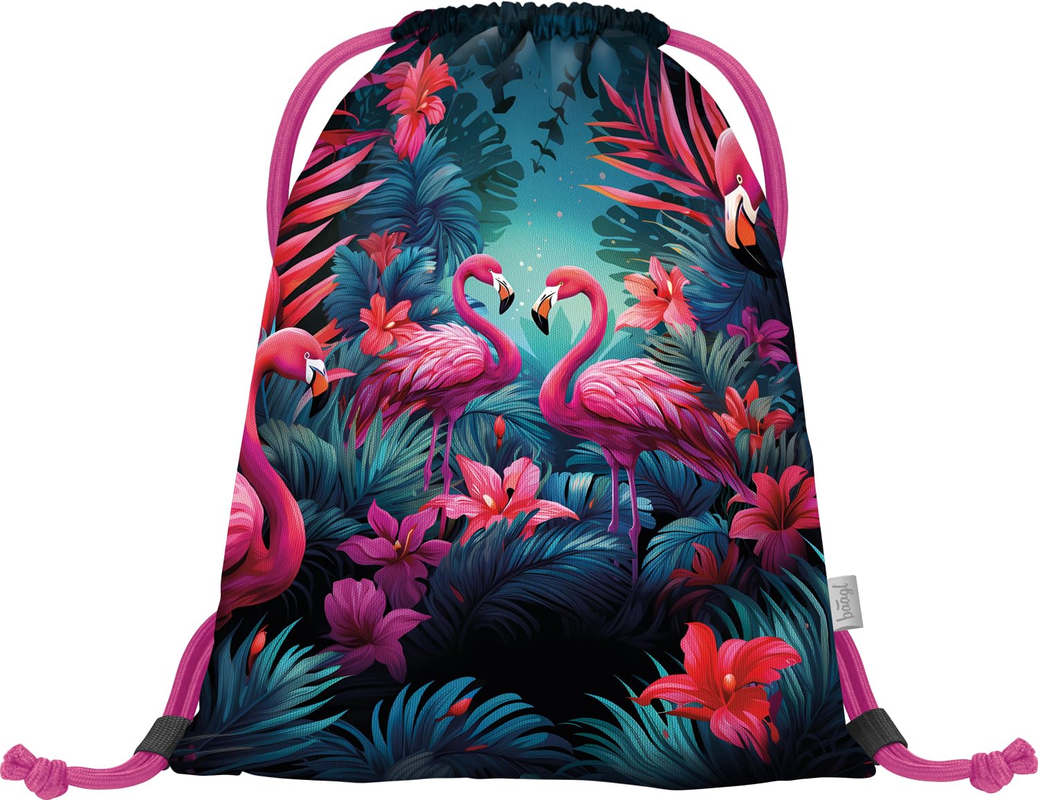 Baagl Gym Bag for Girls and Women, Shoe Bag, Sports Bag, Backpack for School and Kindergarten, Sports Backpack, Flamingos