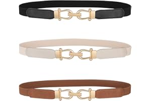 JASGOOD Women Skinny Elastic Belt for Dresses,Thin Retro Stretch Waist Belt with Golden Buckle