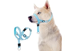 DOMIGLOW No-Pull Dog Headcollar - Reflective Halter Collar for Dogs, Padded Head Collar to Stop Heavy Pulling, Anti-Pull Muzzle Leash (Blue, Medium)