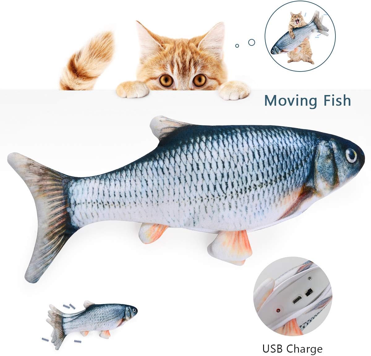 intrattenimento per gatti