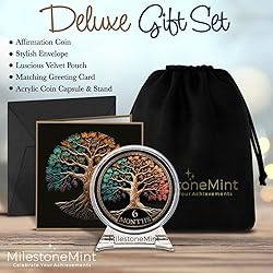 MilestoneMint Affirmation Sobriety Coin Gift Set