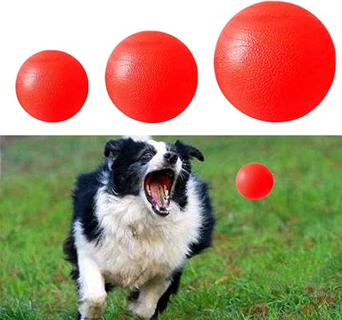 dog training ball